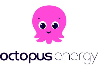 octopus energy